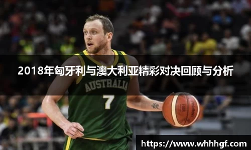 3377体育官网入口